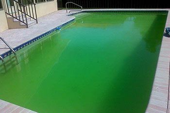 Green Pool Recovery